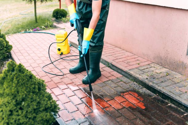 Best Dumpster Area Cleaning  in Safety Harbor, FL