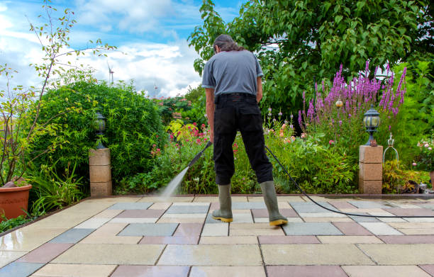 Best Animal Enclosure Cleaning  in Safety Harbor, FL
